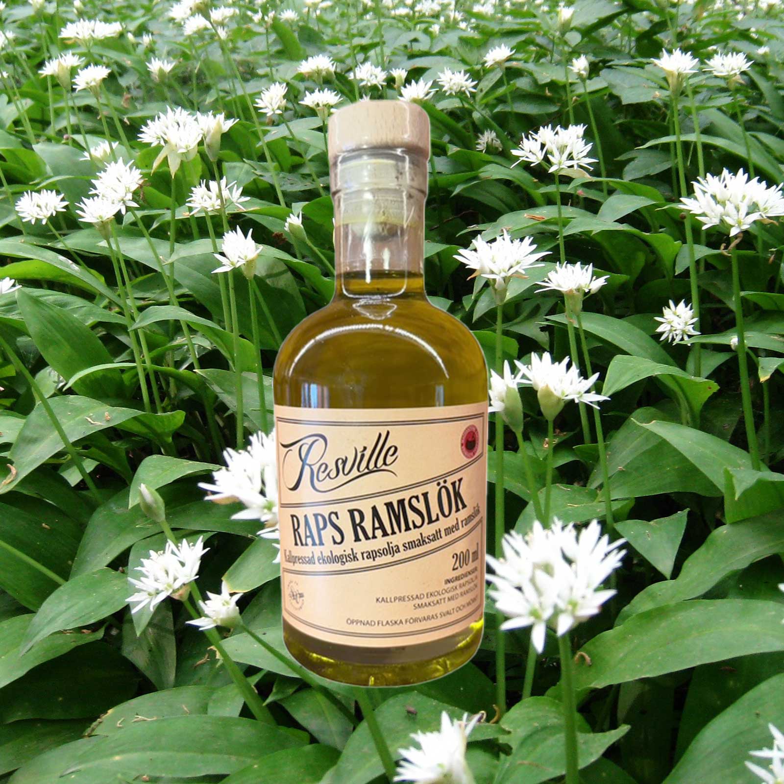 Nyhet: Ramslöksolja